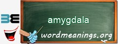 WordMeaning blackboard for amygdala